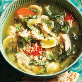 CHICKEN, ORECCHIETTE, AND ESCAROLE SOUP